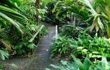 Free Things To Do In Cairns With Kids Free Things To Do In Cairns With Kids